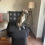 Διαμέρισμα Mit Garten Und Pool In Ασκόνα